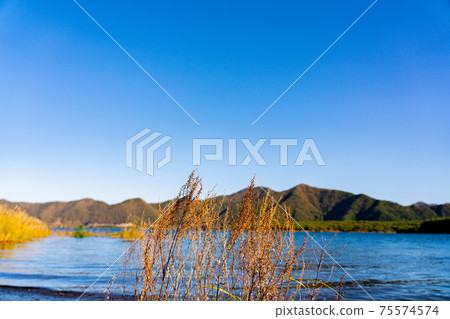 Lake Motosu Autumn Nature Outdoor Scenery Drive Sightseeing Travel Yamanashi Prefecture Fishing Fly Fly Fishing Fishing Equipment Lake Motosu Autumn Nature Outdoor Scenery Drive Sightseeing Travel Yamanashi Prefecture Fishing Fly Fly Fishing Fishing Equipment 75574574