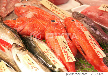 Hakodate Free Market Hakodate Free Market Fish Market HAKODATE 75574749