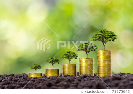 Coins and plants are grown on a pile of coins for finance and banking. The idea of saving money and increasing finances. Coins and plants are grown on a pile of coins for finance and banking. The idea of saving money and increasing finances. 75575645