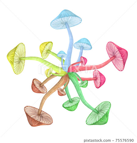 Toadstool circle hippie concept isolated on white background 75576590