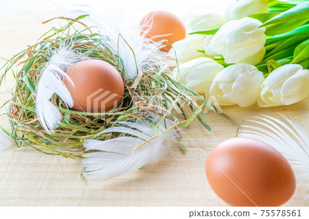 Natural easter colour eggs in basket with spring tulips, white feathers on wooden table background in Happy Easter decoration. Spring holiday concept. Natural easter colour eggs in basket with spring tulips, white feathers on wooden table background in Happy Easter decoration. Spring holiday concept. 75578561