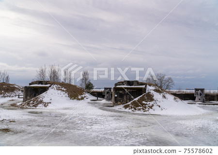 Russia. March 14, 2021. The Demidov battery of Kane cannons in the Patriot Park of the city of Kronstadt-the museum of the history of the development of Russian weapons. 75578602