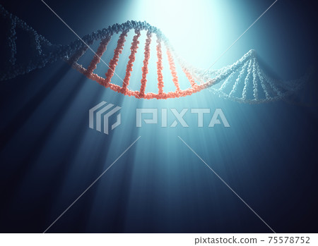 DNA Molecular Concept Genetic Code 75578752