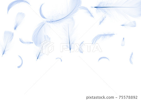 Feather texture. Nature abstract bird feather closeup isolated on white background in pattern photography. Glamorous sophisticated airy artistic image isolated on white. Feather texture. Nature abstract bird feather closeup isolated on white background in pattern photography. Glamorous sophisticated airy artistic image isolated on white. 75578892