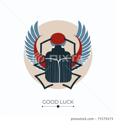 Scarab lucky charm 75579373