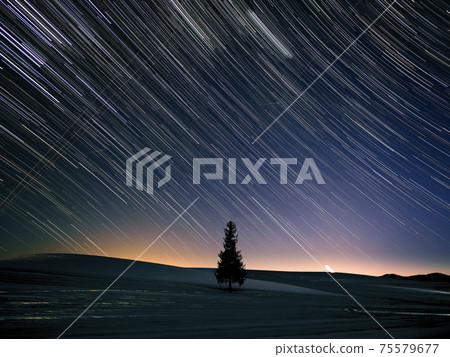 Star trail 75579677
