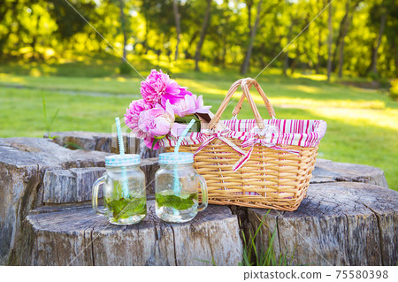 Picnic on nature Picnic on nature 75580398