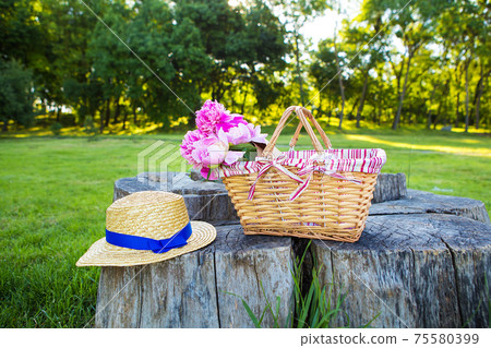 Picnic on nature Picnic on nature 75580399