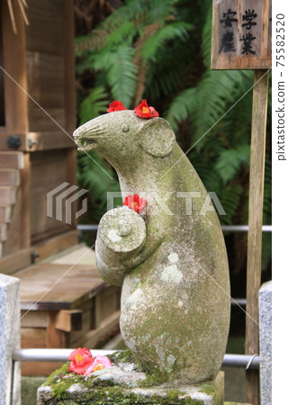 以老鼠聞名的大豐神社 75582520