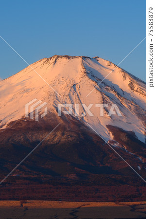 Red Fuji in the early morning Red Fuji in the early morning 75583879