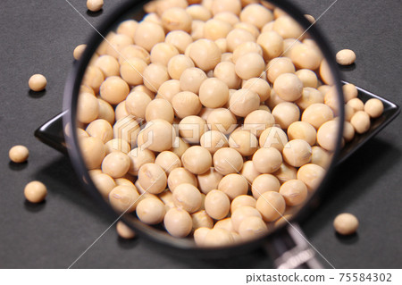 大豆在盤子和放大鏡 大豆在盤子和放大鏡 75584302