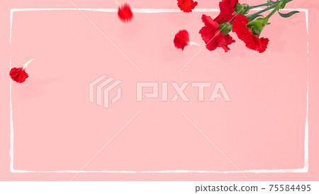 康乃馨背景素材-有多種變體 75584495