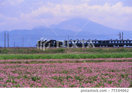 蒸汽機車去湖北春季 蒸汽機車去湖北春季 75584662