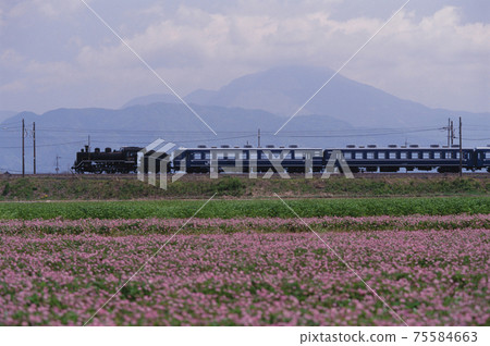 蒸汽機車去湖北春季 蒸汽機車去湖北春季 75584663