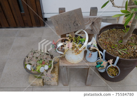 多肉植物放在入口 75584780