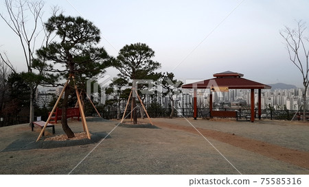 Dongdaemun-gu. Jeonong-dong. Baebongsan. Pine tree 75585316