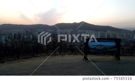 Dongdaemun-gu. Jeonong-dong. Baebongsan. Pine tree 75585318