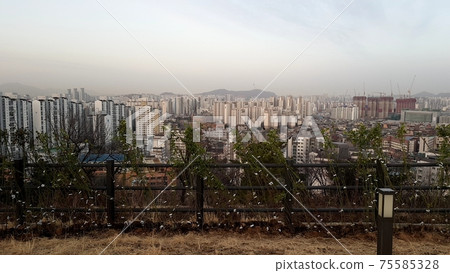 Dongdaemun-gu. Jeonong-dong. Baebongsan. Pine tree Dongdaemun-gu. Jeonong-dong. Baebongsan. Pine tree 75585328