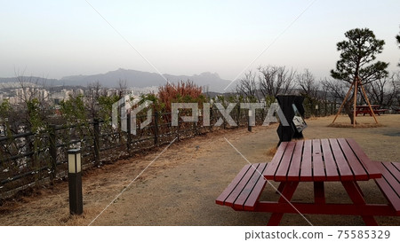 Dongdaemun-gu. Jeonong-dong. Baebongsan. Pine tree 75585329