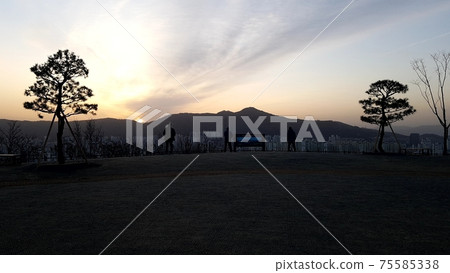 Dongdaemun-gu. Jeonong-dong. Baebongsan. Pine tree 75585338