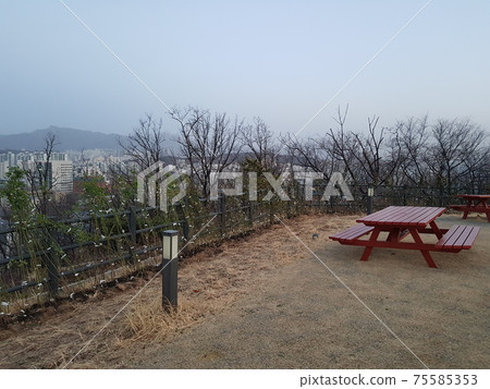 Dongdaemun-gu. Jeonong-dong. Baebongsan. Pine tree 75585353