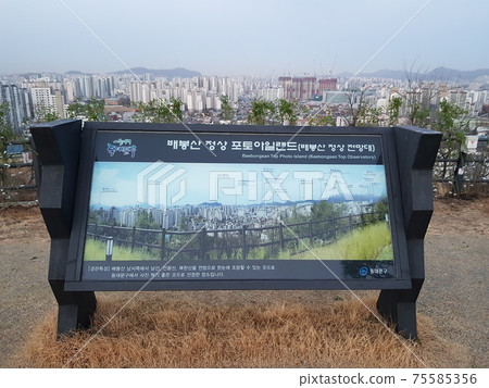 Dongdaemun-gu. Jeonong-dong. Baebongsan. Pine tree 75585356