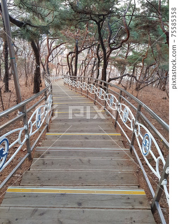 Dongdaemun-gu. Jeonong-dong. Baebongsan. Pine tree 75585358