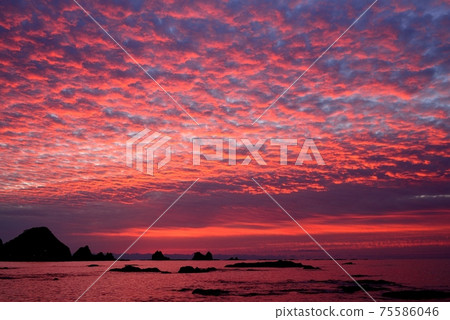 Morning glow on the Tahara coast Morning glow on the Tahara coast 75586046