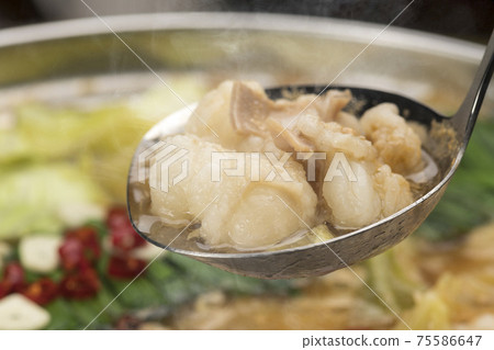 Hakata Motsunabe with Puri Puri Hormone Hakata Motsunabe with Puri Puri Hormone 75586647