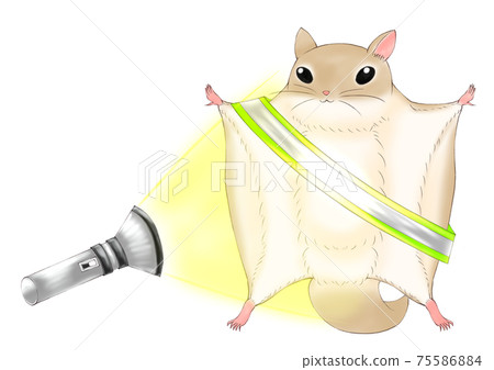 Southern flying squirrel with reflective squirrel 75586884