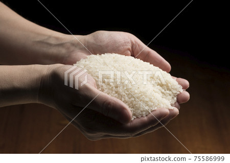 Lift the white rice by hand 75586999