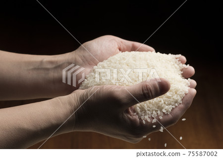 Lift the white rice by hand 75587002