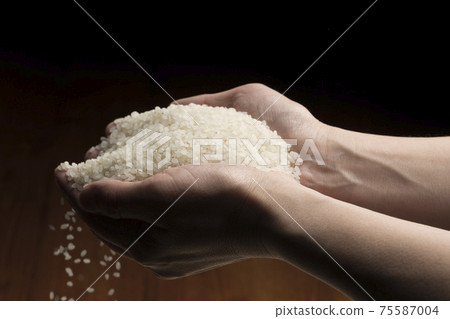Lift the white rice by hand Lift the white rice by hand 75587004