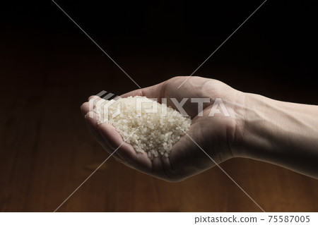 Lift the white rice by hand 75587005
