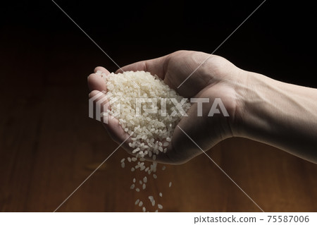 Lift the white rice by hand 75587006