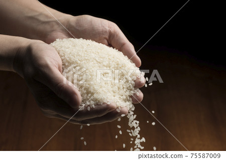 Lift the white rice by hand 75587009
