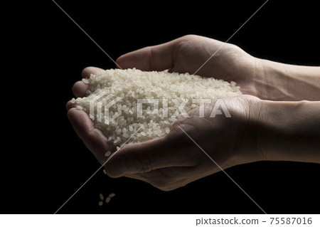 用手提起白米飯 用手提起白米飯 75587016