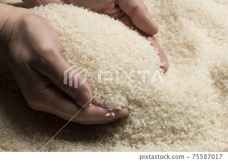 Lift the white rice by hand 75587017