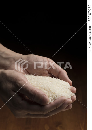 Lift the white rice by hand 75587023