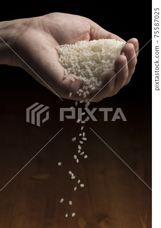 Lift the white rice by hand 75587025