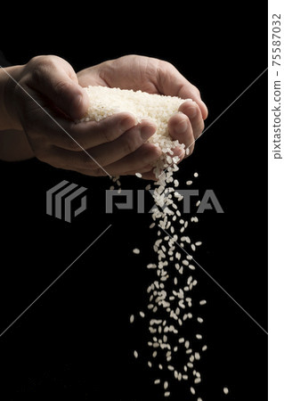 Lift the white rice by hand Lift the white rice by hand 75587032