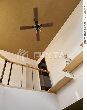 Cat resting on the catwalk Cat resting on the catwalk 75587542