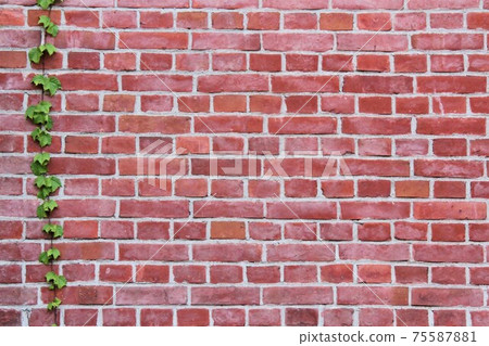 藤和磚 藤和磚 75587881