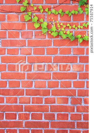 Vine and brick 75587914