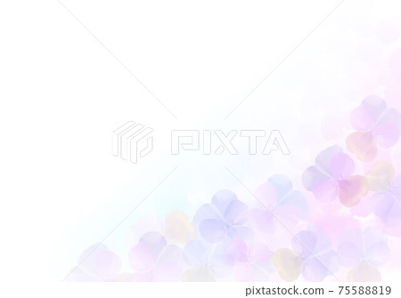 Viola background Viola background 75588819