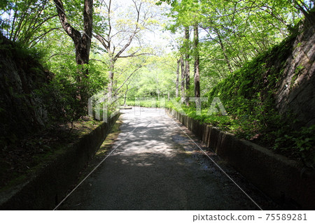 Park road Park road 75589281