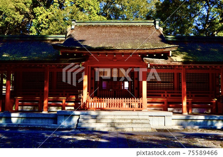 宇佐神宮的“下宮”(大分縣宇佐市) 宇佐神宮的“下宮”(大分縣宇佐市) 75589466