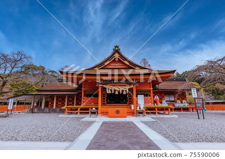 （靜岡縣）富士本宮淺間神社，開始盛開櫻花的禮拜堂 75590006