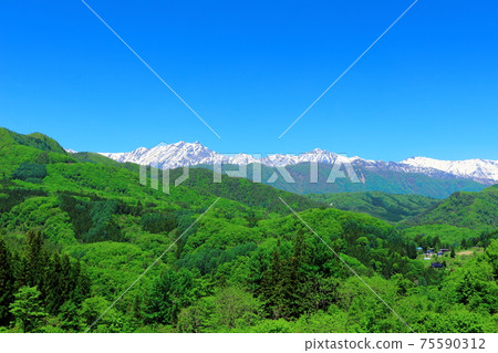 Beautiful Northern Alps Part 2103: Spring Northern Alps Part 2103 Beautiful Northern Alps Part 2103: Spring Northern Alps Part 2103 75590312