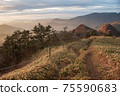 山 75590683